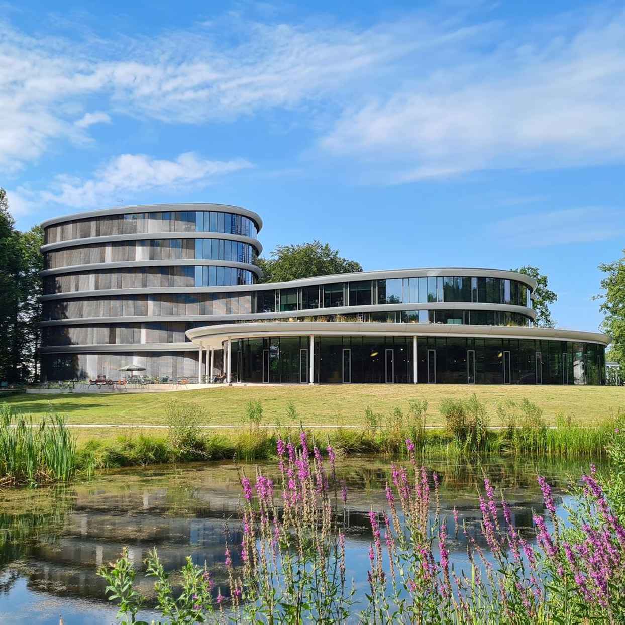 Vooraanzicht van het kantoor van Triodos Bank, De Reehorst, staat aan de rand van een vijver. Het gebouw heeft ronde vormen en grote ramen. Bomen en struiken omringen het water en het gras.