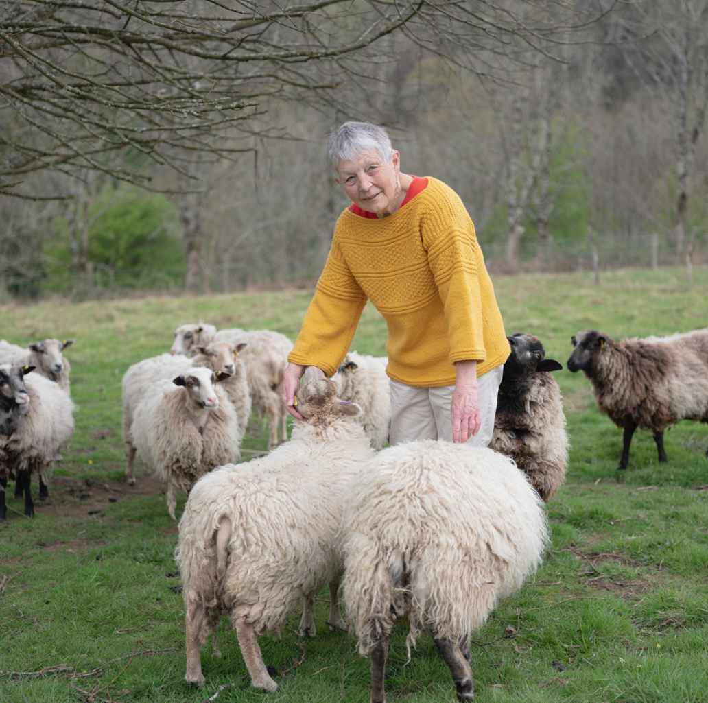 Sue Laverick